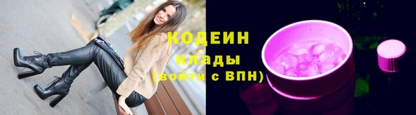 дживик Надым