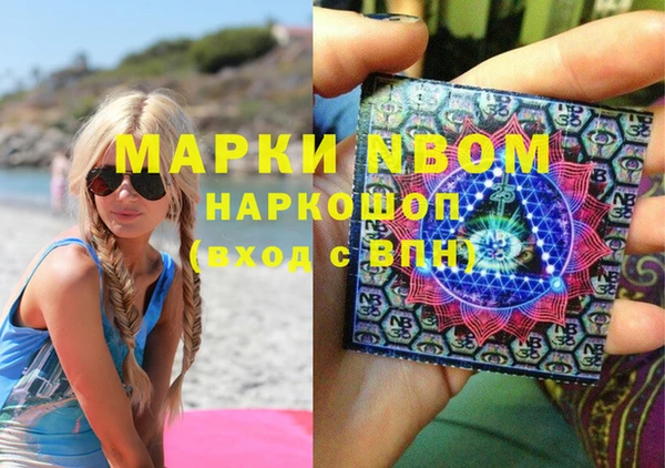 дживик Надым
