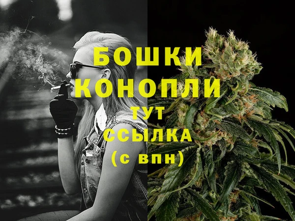 гидра Нея