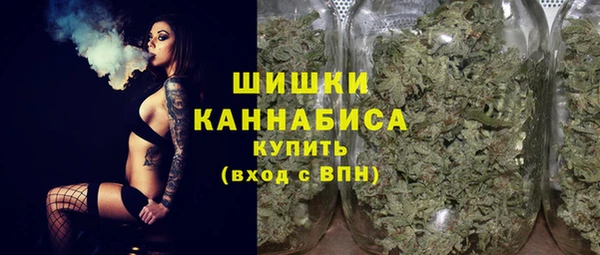 дживик Надым