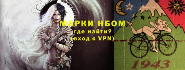 дживик Надым