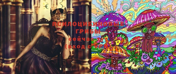 PSILOCYBIN Наволоки