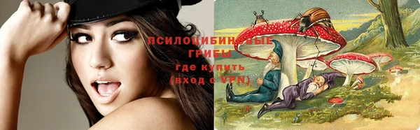 PSILOCYBIN Наволоки