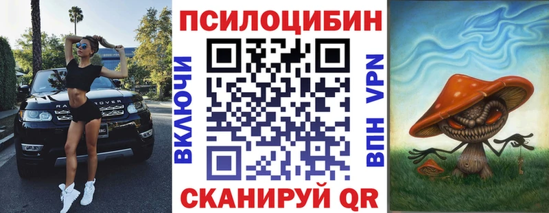 Псилоцибиновые грибы Psilocybine cubensis  Кострома 
